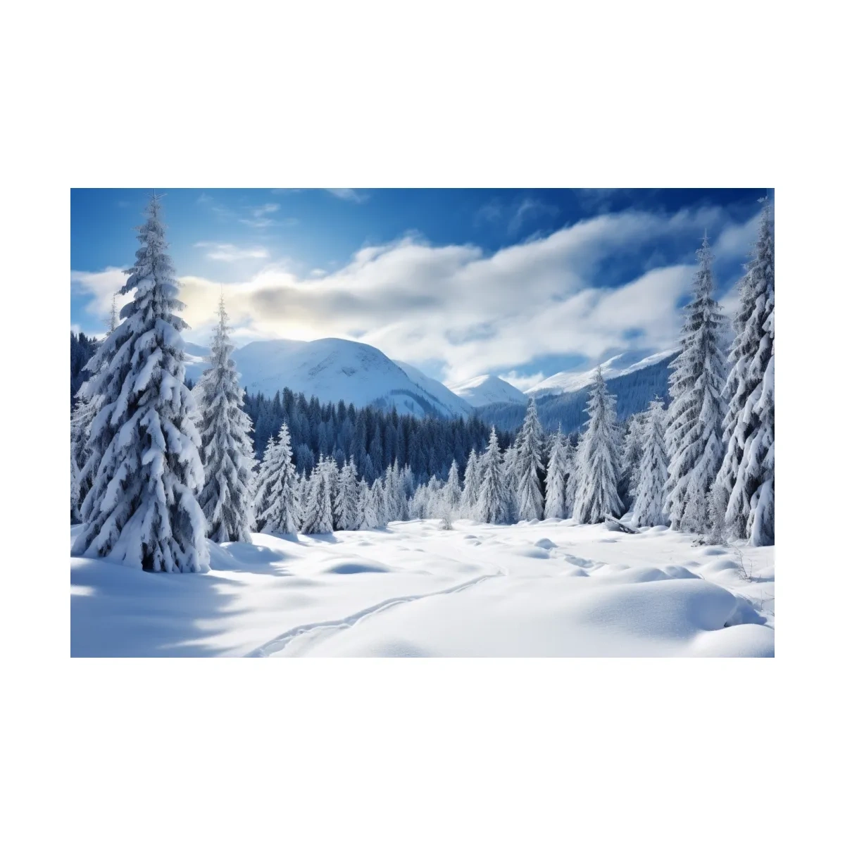 Snowy Alpine Mountain Forest Landscape - Winter Wilderness Photographic Wall Art