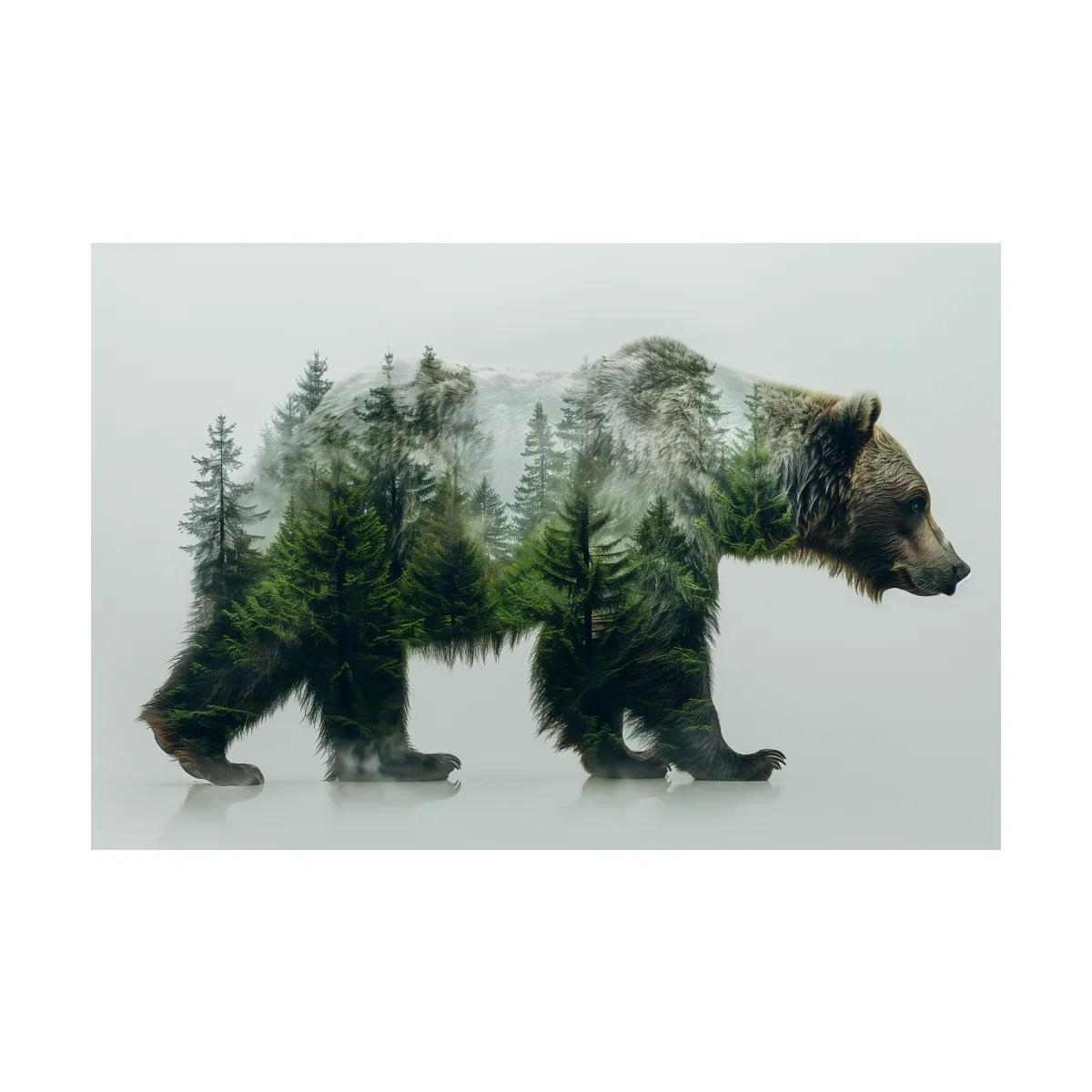 Grizzly bear artwork, double exposure forest art