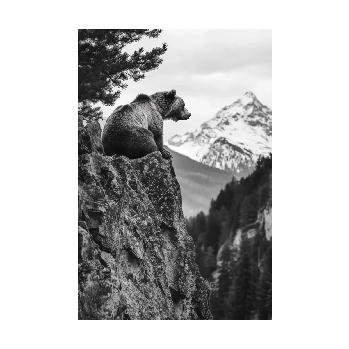 Grizzly bear taking in a mountain view, photographic wildlife wall art