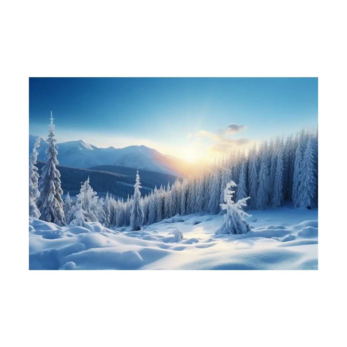 Snowy Alpine Forest Sunrise - Winter Nature Photographic Wall Art