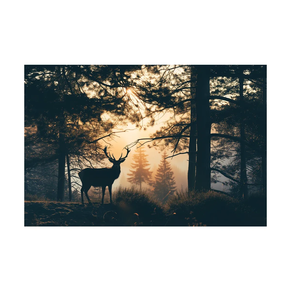 Moody Deer Silhouette In Misty Pine Forest - Golden Sunrise Wildlife Wall Art