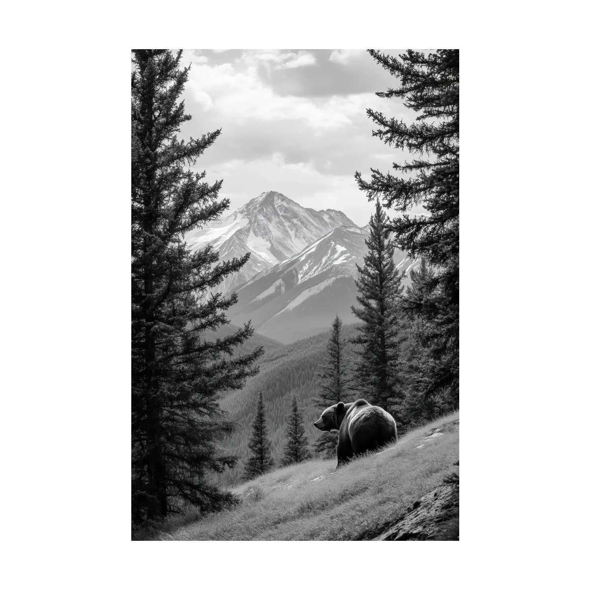Black And White Grizzly Bear Alpine Meadow - Wilderness Nature Photography Wall Art
